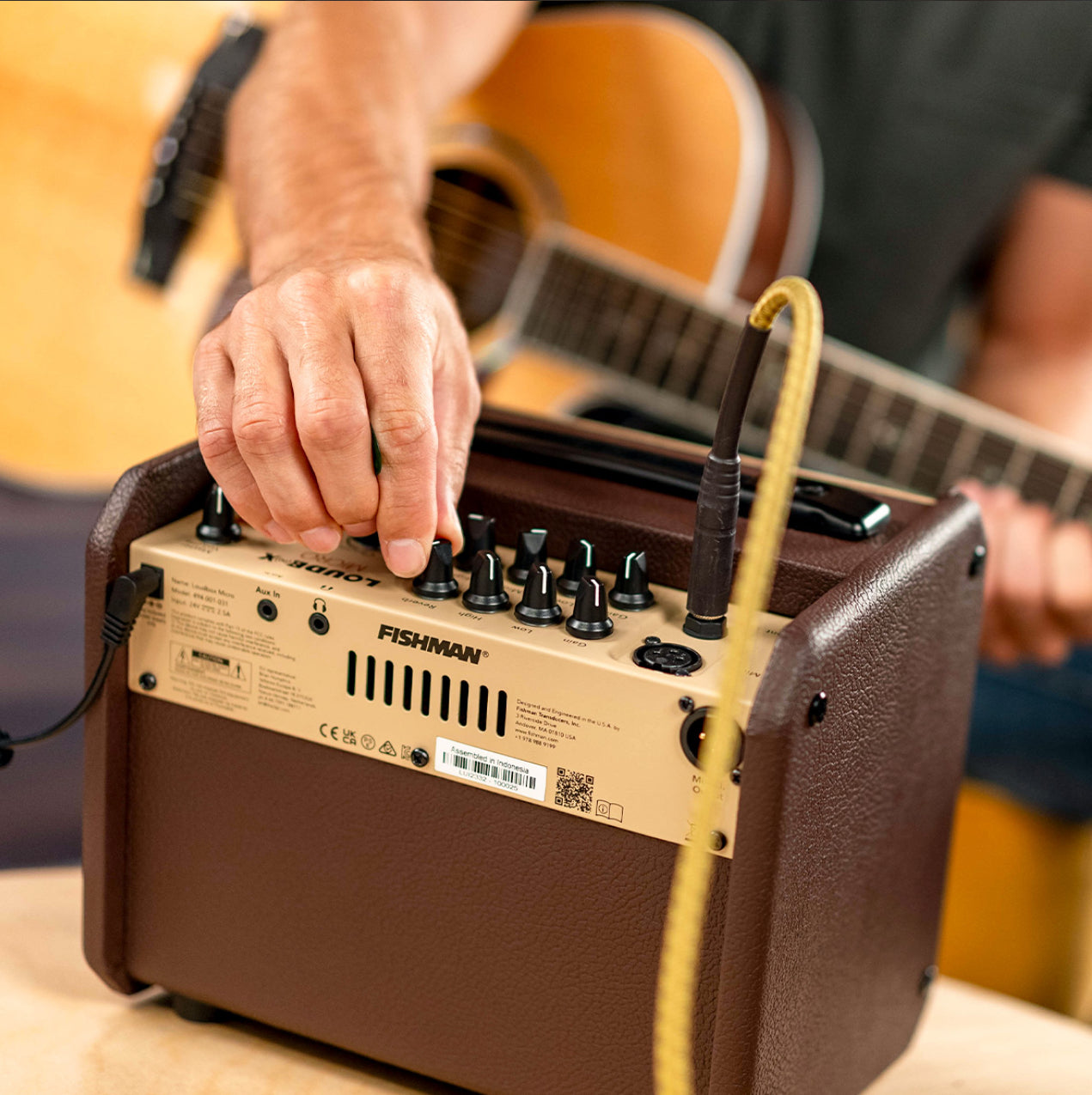 FISHMAN LOUDBOX MICRO ACOUSTIC INSTRUMENT AMPLIFIER