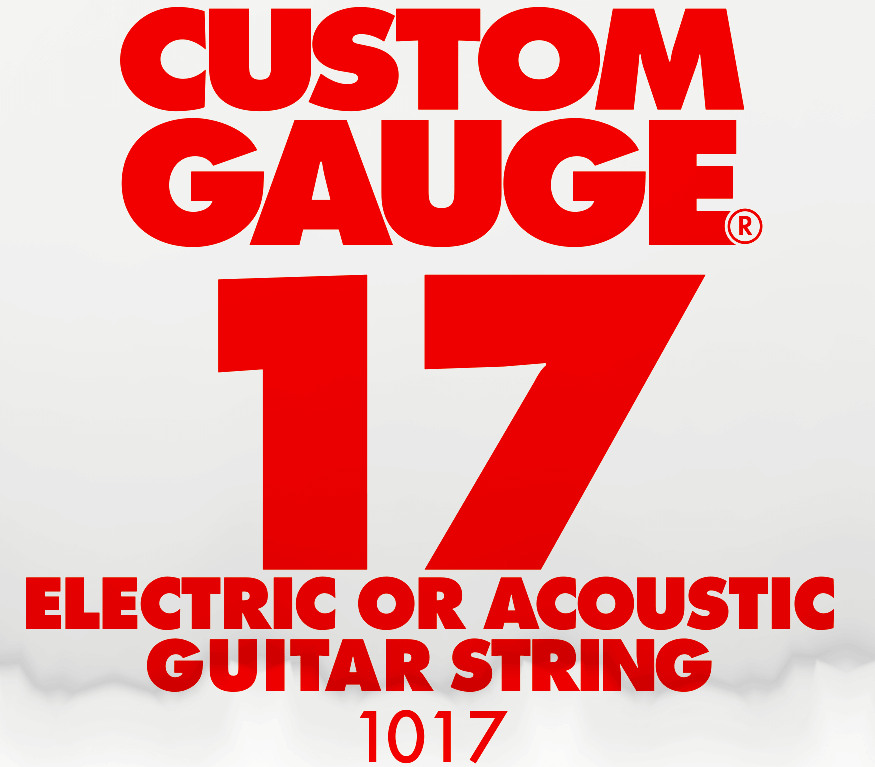 Ernie Ball Plain Steel Electric & Acoustic Singles