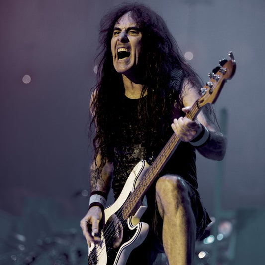 STEVE HARRIS CUSTOM FLATWOUND | 50-110