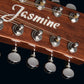 Jasmine JD36-12 Dreadnought (12 String) Acoustic Guitar. Natural